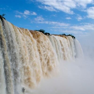 金博宝手机app下载截图